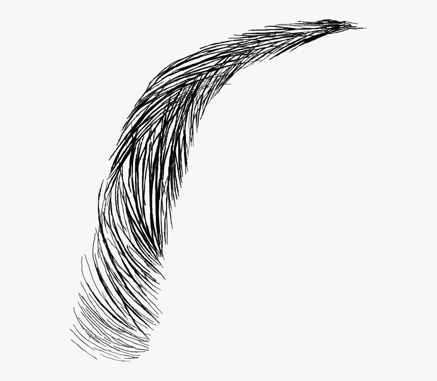 #eyebrow #makeup #eyebrows #eye #arch #freetoedit #remixit - Sketch, Transparent Clipart