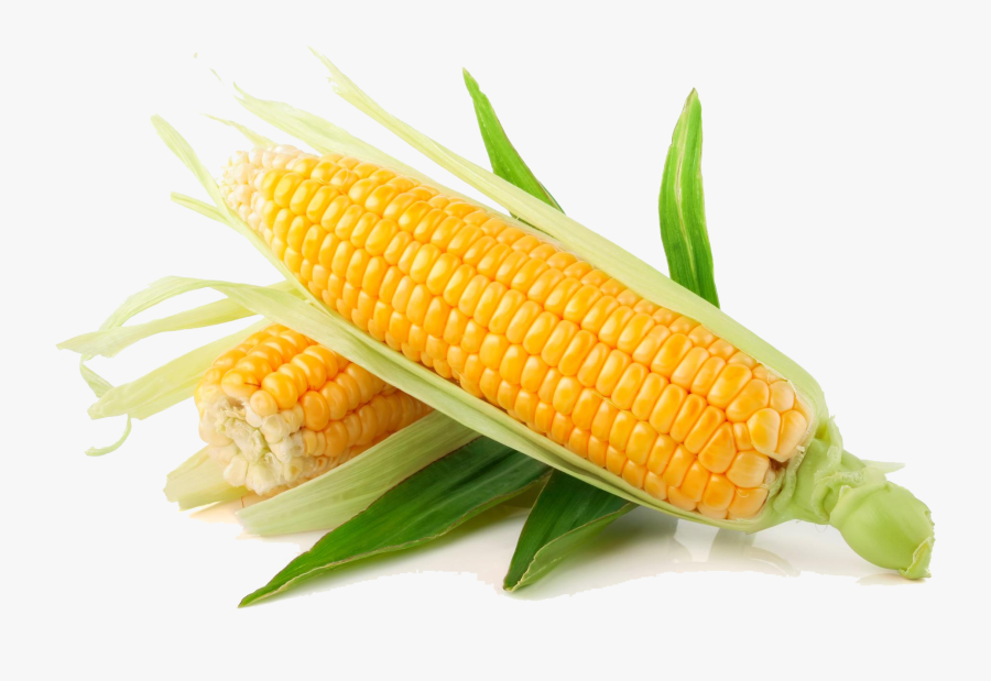 Download-corn - Corn Png, Transparent Clipart