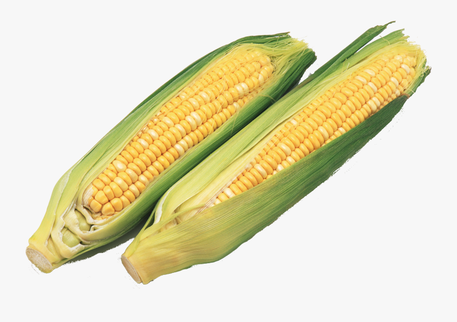 Corn Cob Png - Imagens De Milho Png, Transparent Clipart