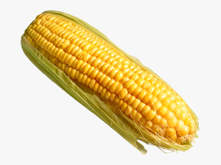Corn On The Cob Png - Transparent Corn, Transparent Clipart