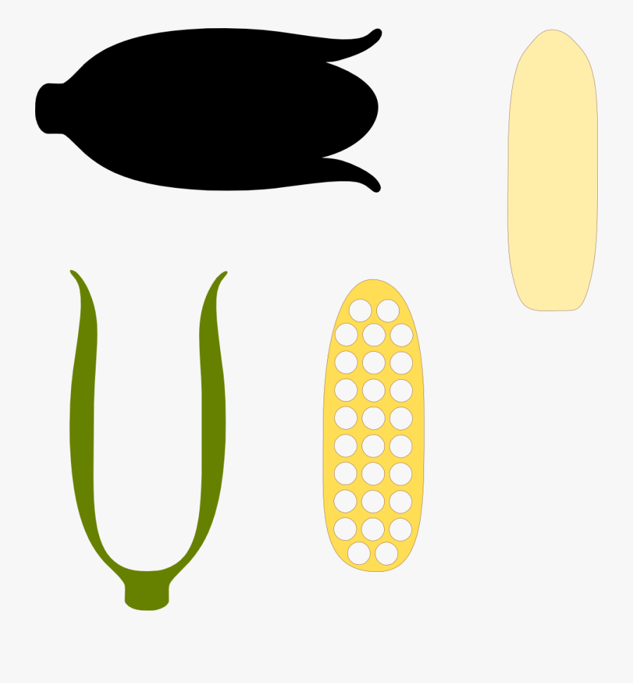 Food, Personal Use, Corncob,, Transparent Clipart