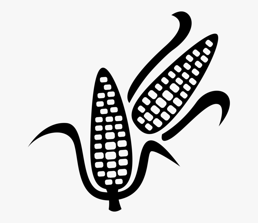 Vector Illustration Of Corn Husks On Cob Grain Plant - Huawei Пульт, Transparent Clipart