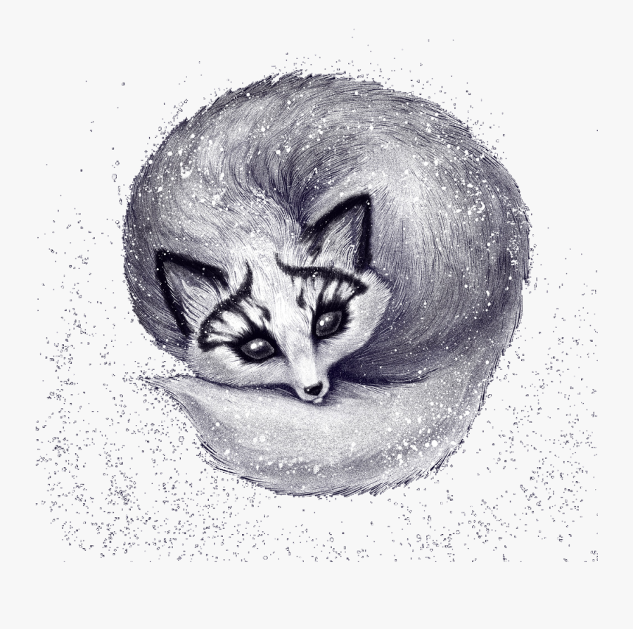 #fox #animal #arcticfox #marblefox #winter #snow #cute - Sketch, Transparent Clipart