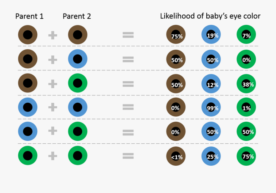 Green Eyes Clipart Baby Eye Pencil And In Color Dominance - Both Parents Have Green Eyes, Transparent Clipart