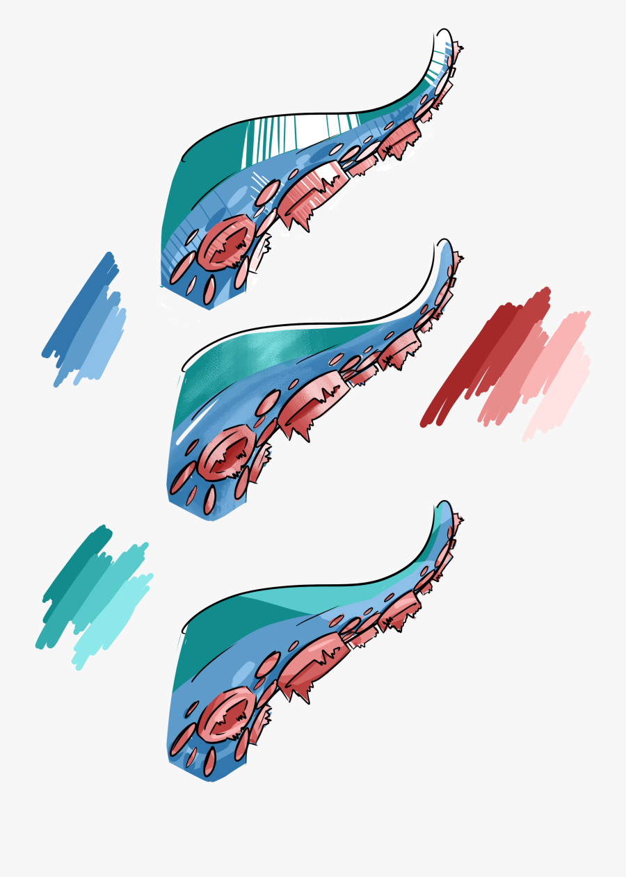 Clip Art, Transparent Clipart