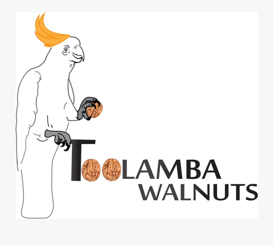Logo Design By Karthikragu For Toolamba Walnuts - Aruba, Transparent Clipart