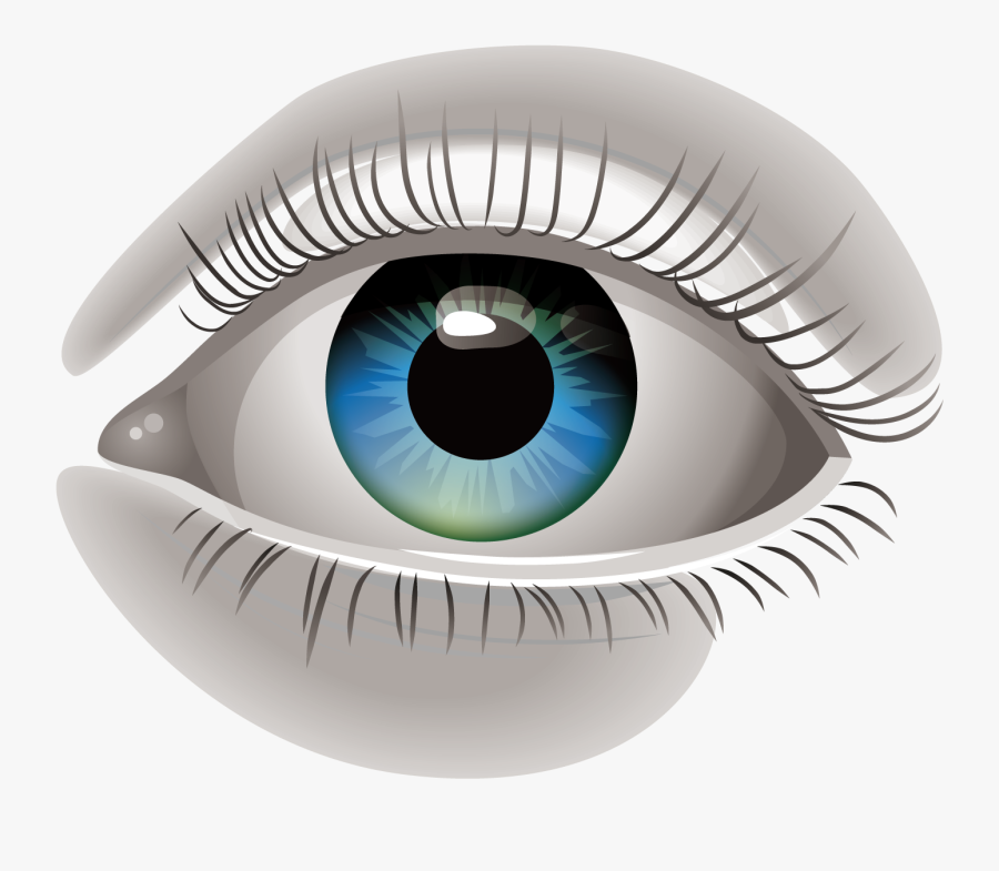 Human Eye Euclidean Vector Clip Art - Human Eye Eye Vector Png, Transparent Clipart