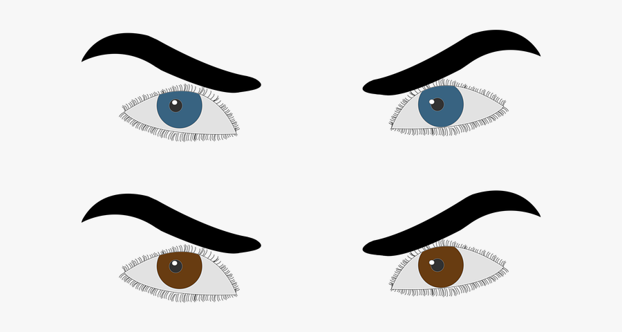 Eye, Blue Eye, Coffee Eye, Human, Eyes, Transparent Clipart