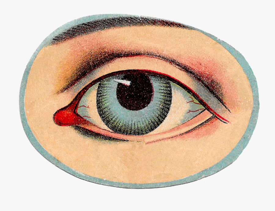 Clip Art Antique Images Free Vintage - Vintage Eye, Transparent Clipart