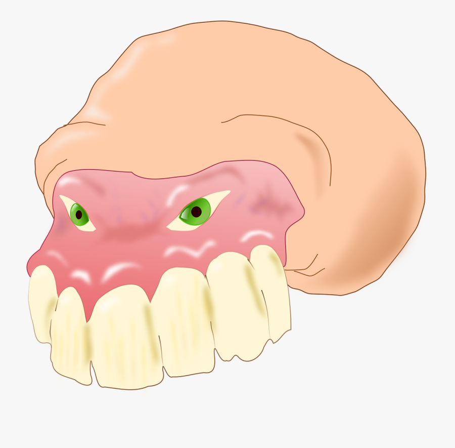 Clip Art Dental Images Png, Transparent Clipart