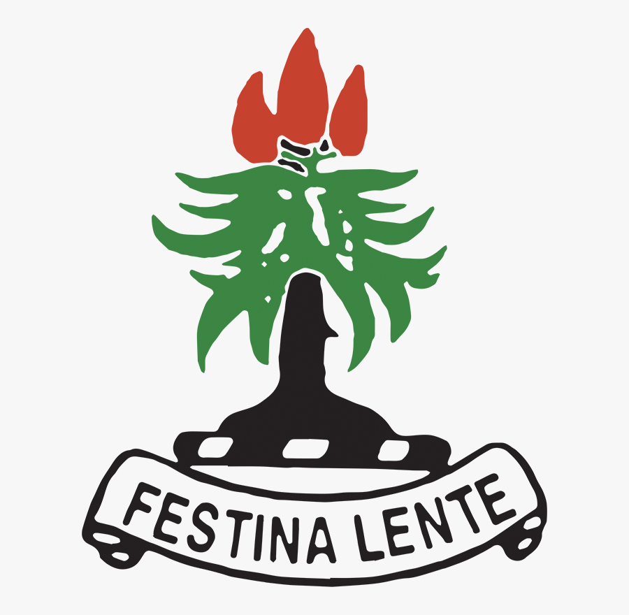 Al Cilantro Reu, Transparent Clipart