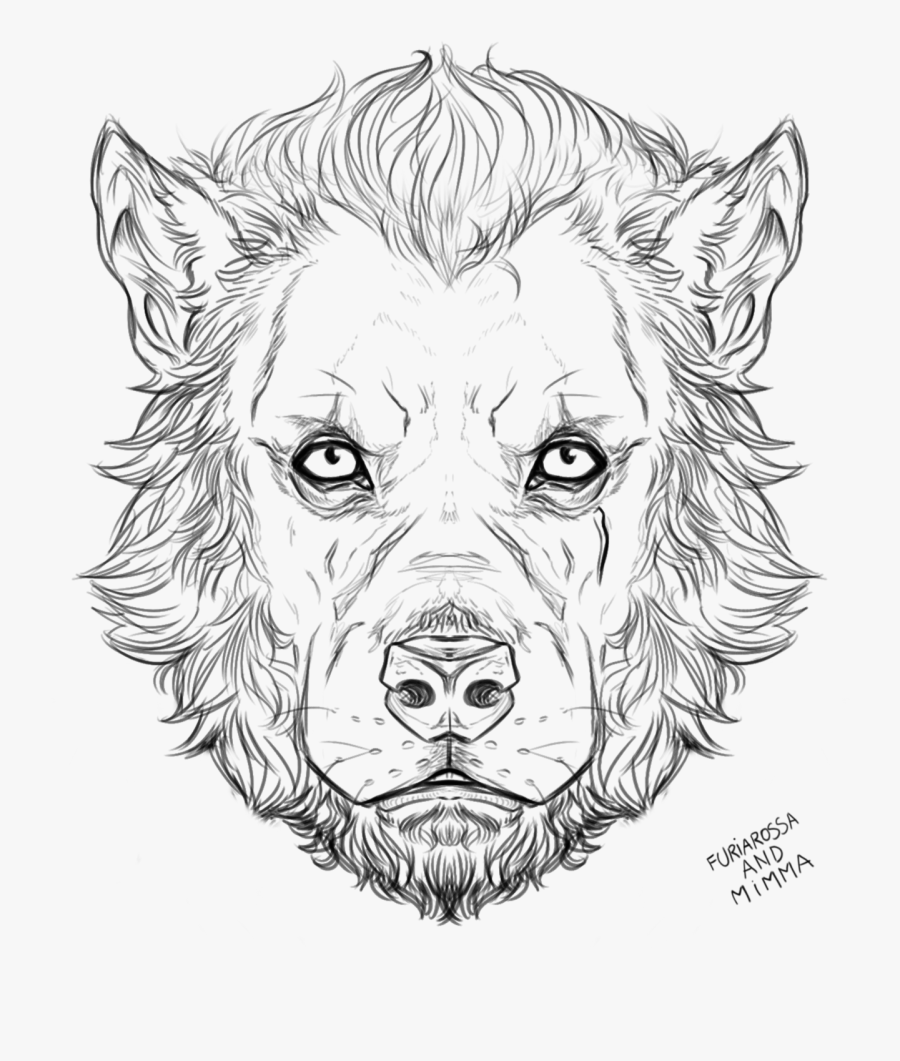 Sketch, Transparent Clipart