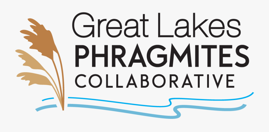 Simply Smooth Keratin Treatment, Transparent Clipart