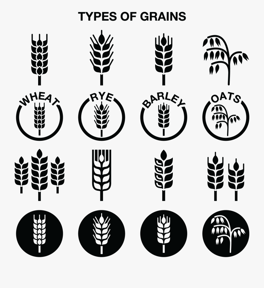 Oats Illustrations, Transparent Clipart