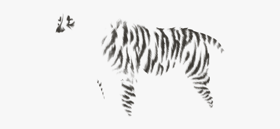 Zebra, Transparent Clipart