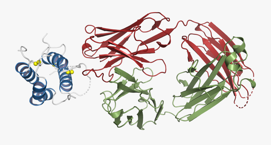 Structural Basis For Inhibition Of Tslp-signaling By - Illustration, Transparent Clipart