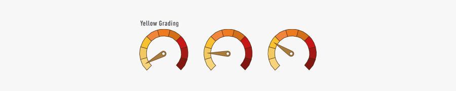 Circle, Transparent Clipart