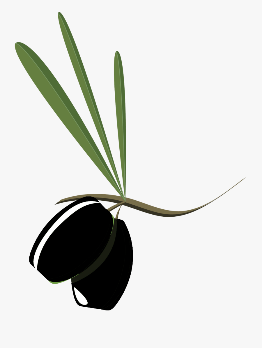Olive Branch2, Transparent Clipart