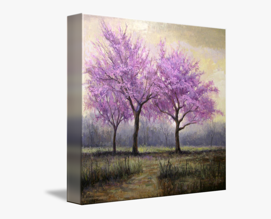 Drawing Spring Redbud Tree - Picture Frame, Transparent Clipart
