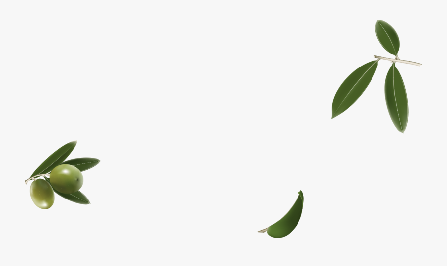 Key Lime, Transparent Clipart