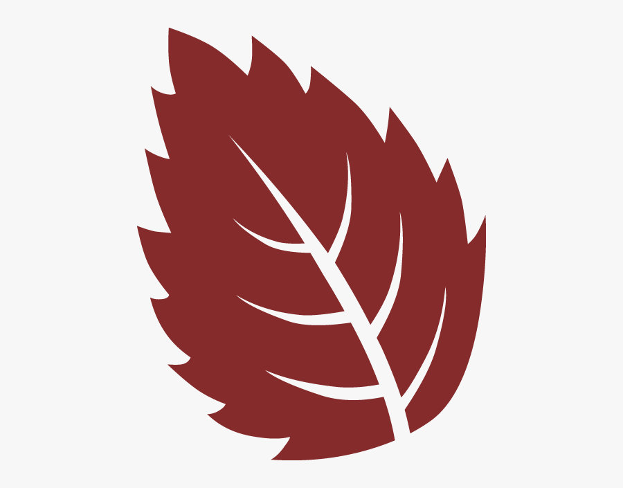 Icon, Transparent Clipart