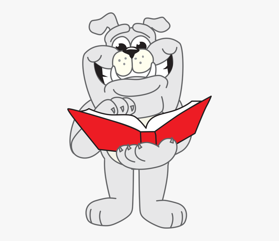 Koala Reading A Book, Transparent Clipart