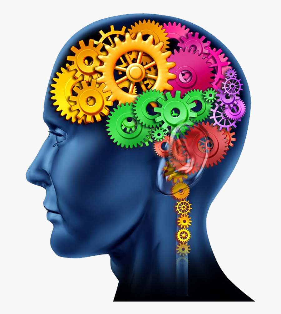 Nlp Brain, Transparent Clipart