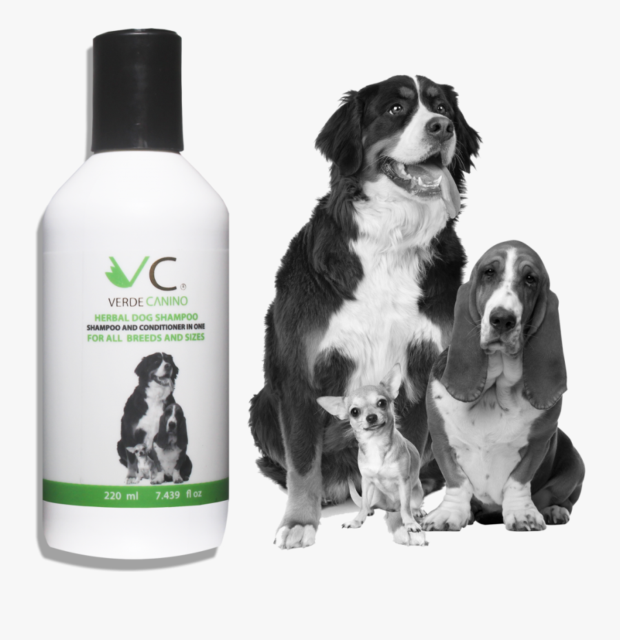 Dog Door With Lock, Transparent Clipart