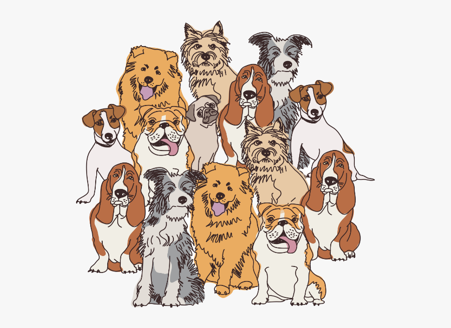 Big Group Of Dogs, Transparent Clipart