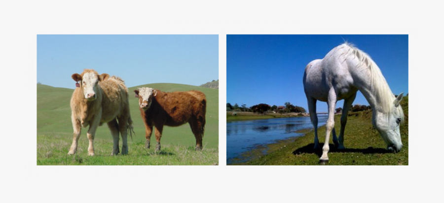 Clip Art Husseys General Store - Plan Lekcji Do Wydrukowania, Transparent Clipart