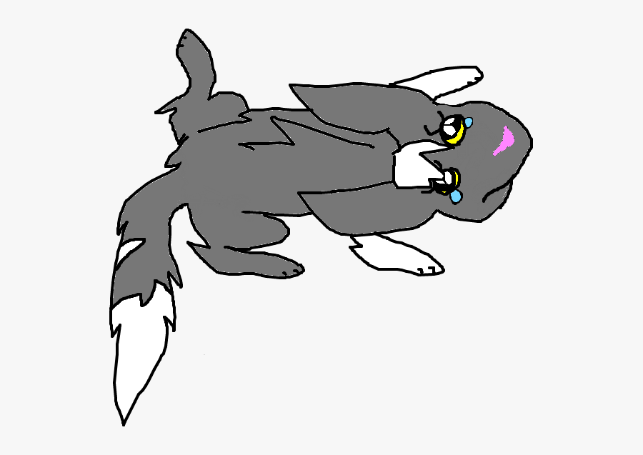 Cat - Sad Cat - Cartoon - Cartoon, Transparent Clipart