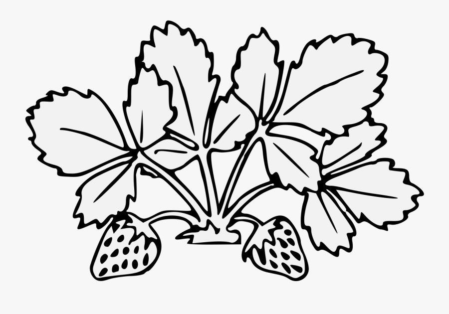 Transparent Cauliflower Clipart Black And White - Strawberry Plant Leaf Clipart Black And White, Transparent Clipart