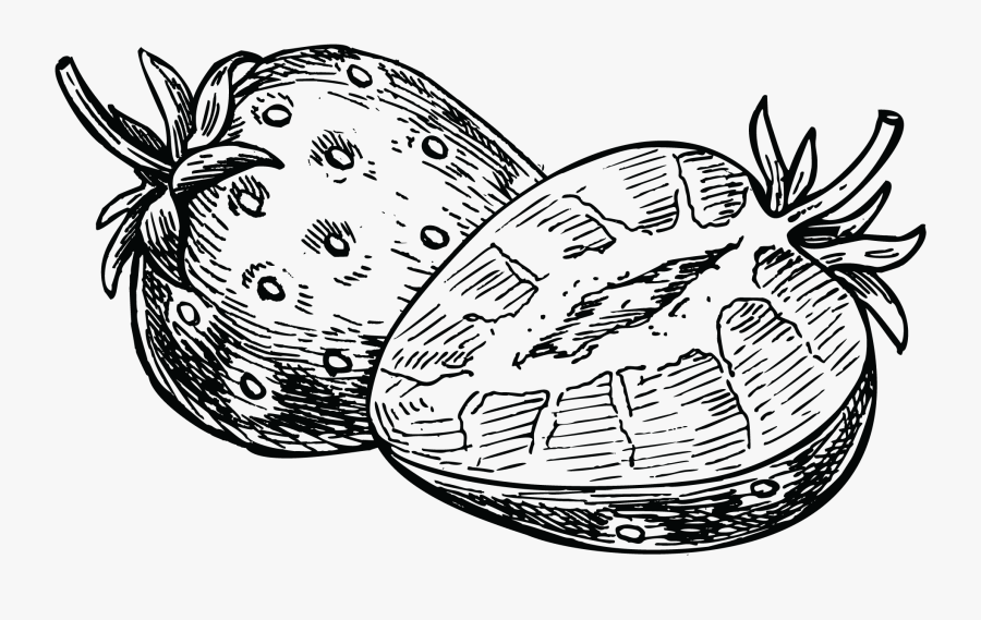 Strawberry Drawing Black & White Vector Free Download, Transparent Clipart