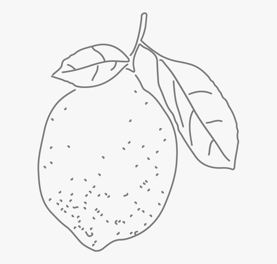 Line Art, Transparent Clipart