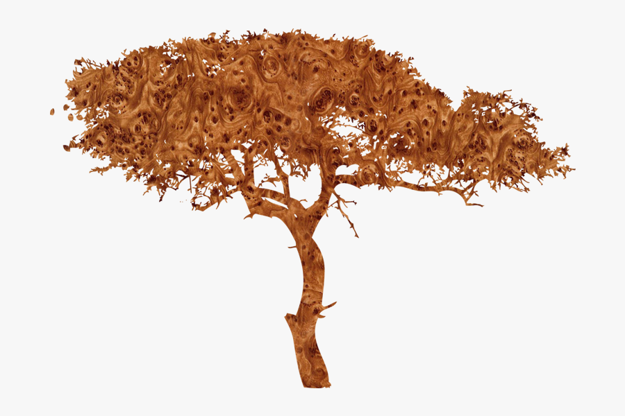 African Tree Silhouette Png - City Vs Forest Skyline, Transparent Clipart