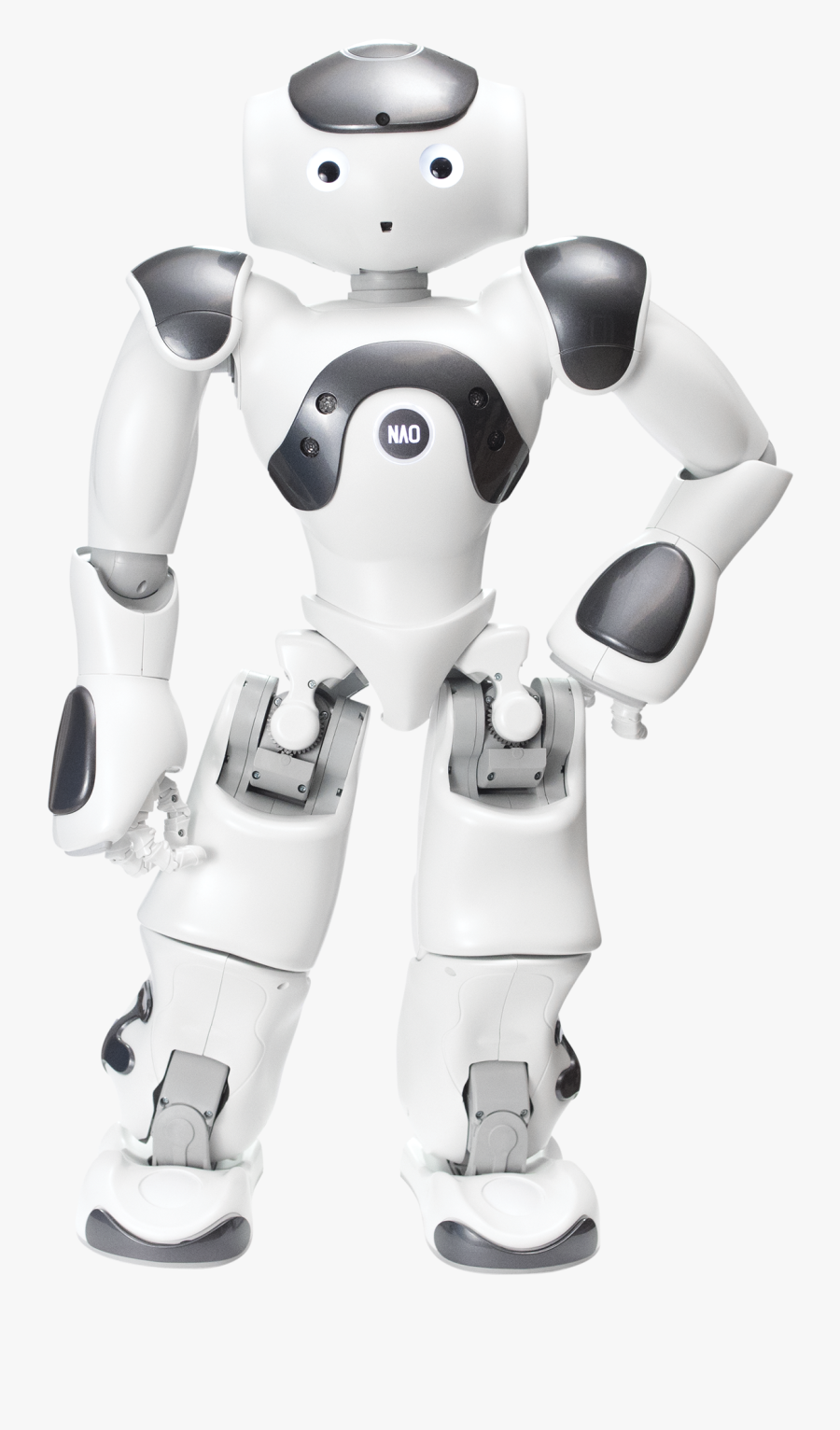 Vector Robotics Humanoid - Nao V6 Robot, Transparent Clipart