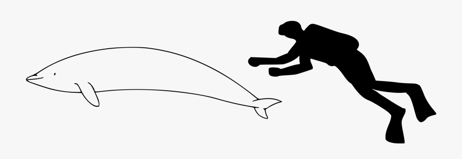 Fisherman Svg Black And White - South Asian River Dolphin Outline, Transparent Clipart