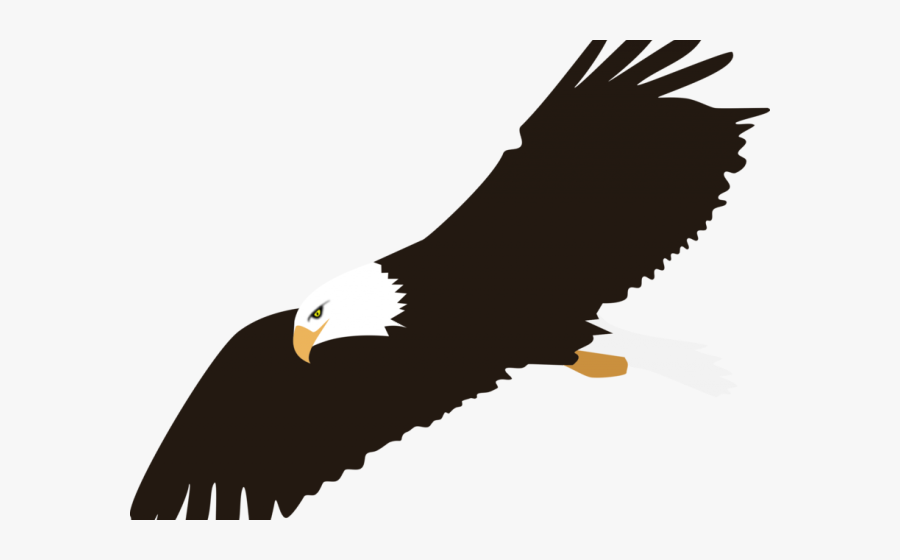 Bald Eagle Flying Clip Art, Transparent Clipart