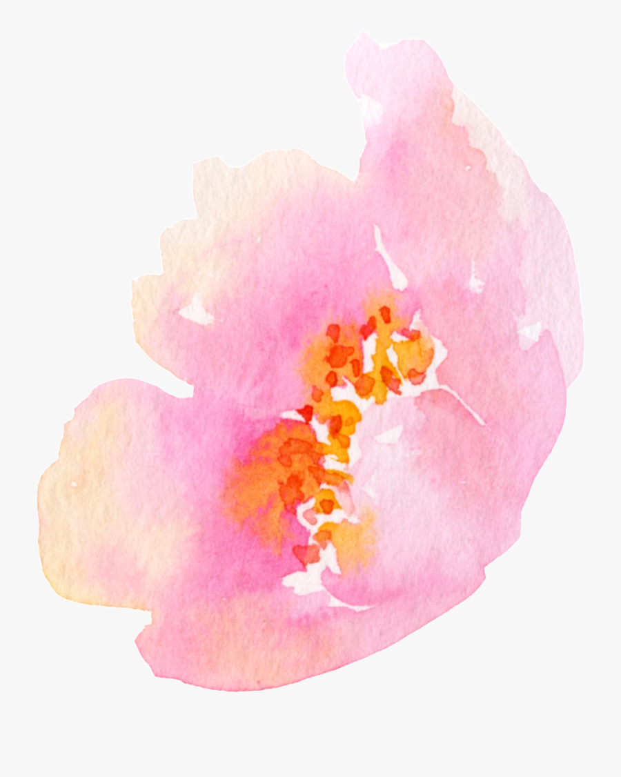 Transparent Hibiscus Png - Chinese Hibiscus, Transparent Clipart