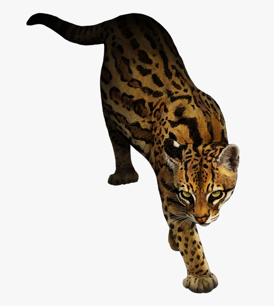 Clip Art Ocelot Images - Ocelot Transparent Background, Transparent Clipart