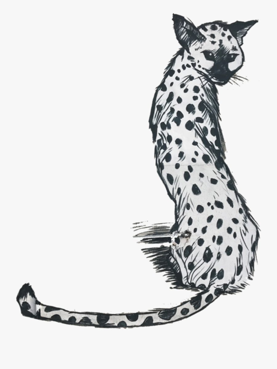 California Spangled, Transparent Clipart