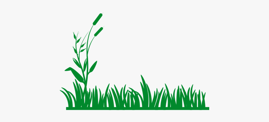 Grass Vector Background - Grass Black And White, Transparent Clipart