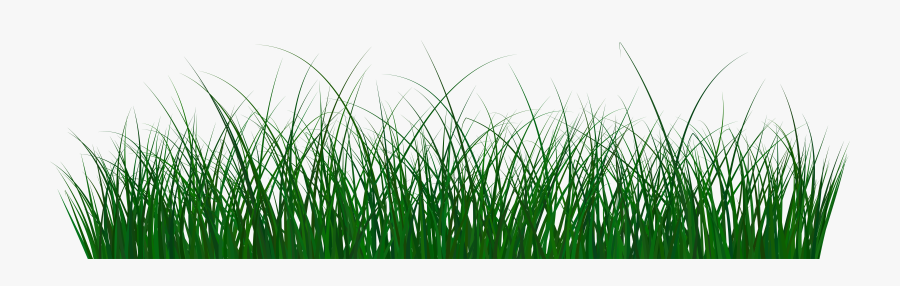 Green Clip Art Image - Transparent Png Format Water Png, Transparent Clipart