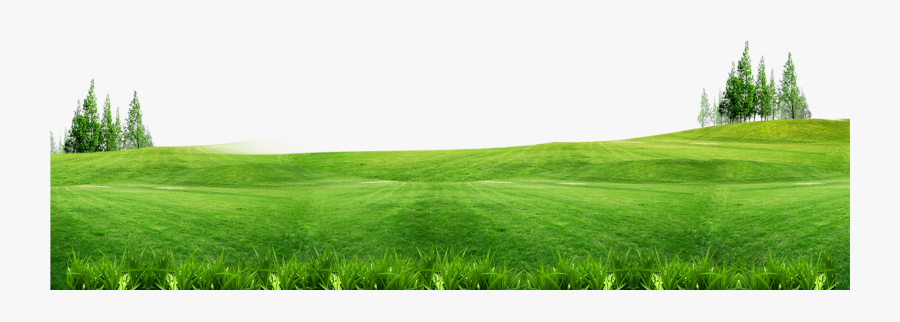 Download Lawn Gratis Wallpaper - Green Grass Background, Transparent Clipart