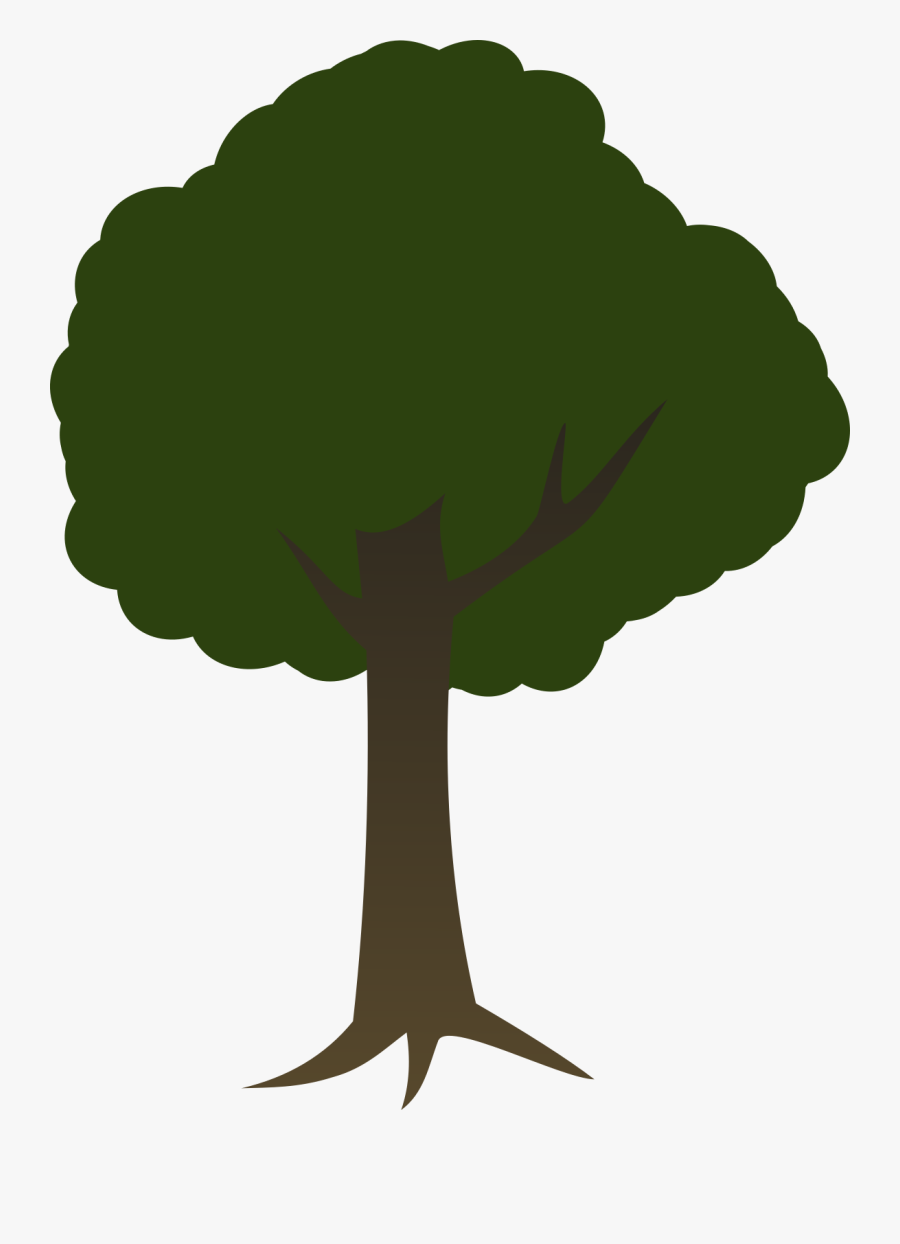 2d Tree Transparent Background Clipart , Png Download - Transparent Background Clip Art Tree, Transparent Clipart