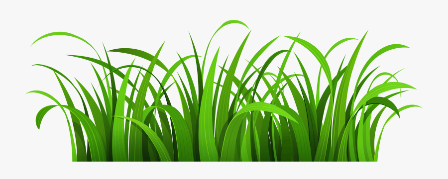 Swamp Clipart Background - Cartoon Grass Vector Png, Transparent Clipart