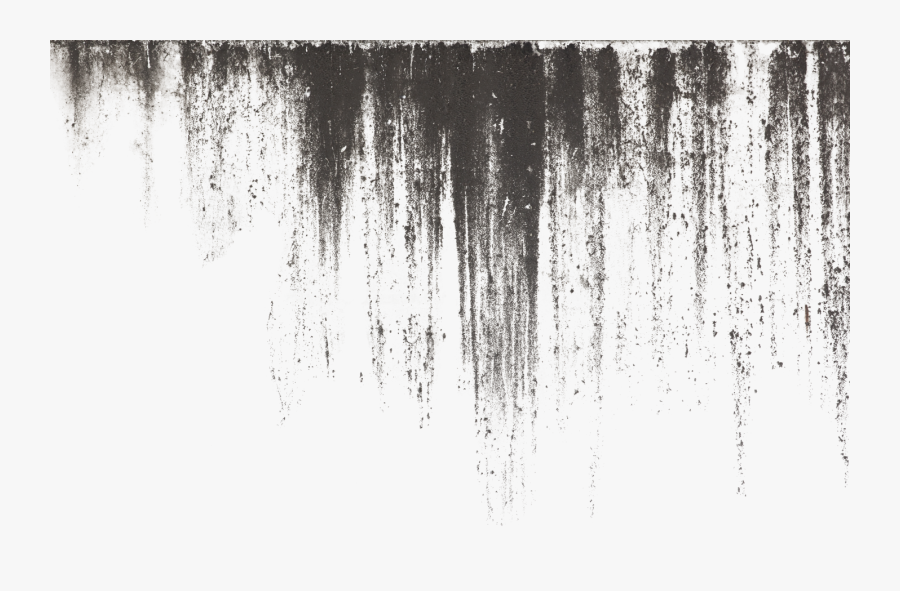 Wetland Clipart, Transparent Clipart