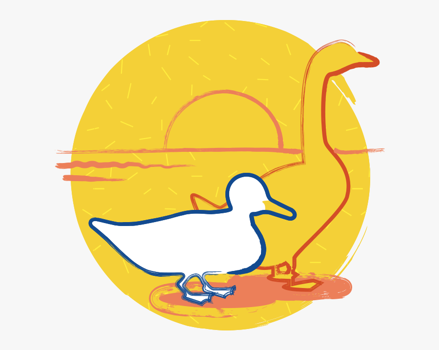 Duck, Transparent Clipart