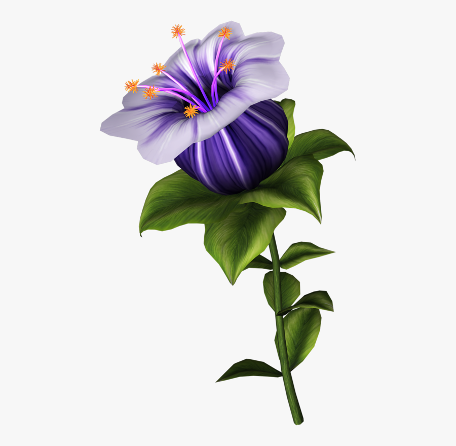 Lily Family, Transparent Clipart