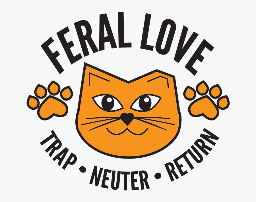 Computerwoche, Transparent Clipart